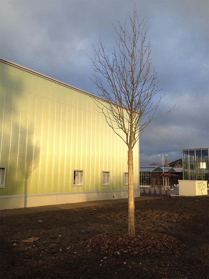 Greenhouse for tuition and research for the university of Berne, Untere Zollstrasse, Ostermundigen