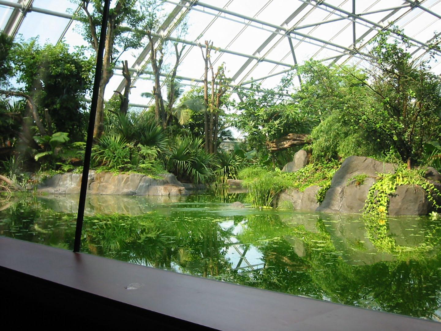 Masoala Rainforest Zoo Zürich, Zoo Zürich AG