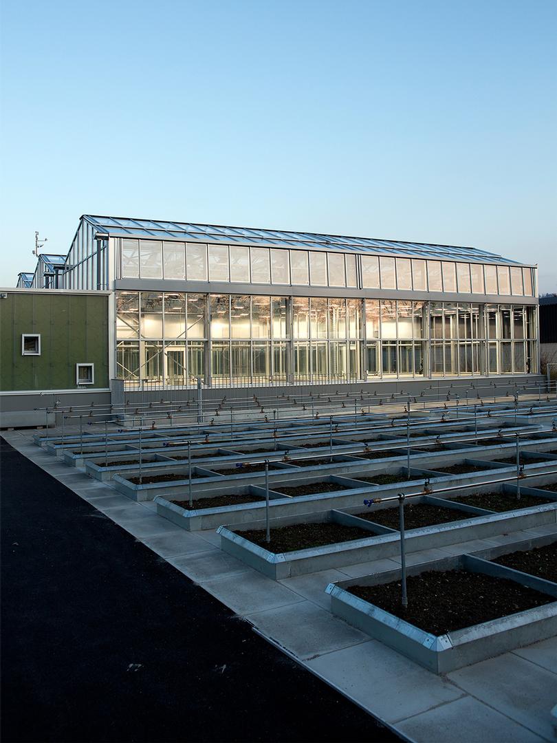 Greenhouse for tuition and research for the university of Berne, Untere Zollstrasse, Ostermundigen